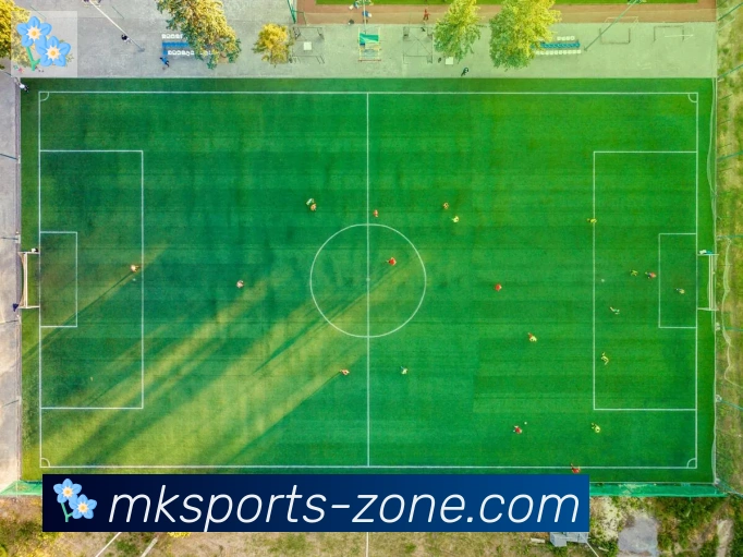 多媒体互动体验